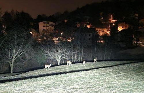 Casa Solaris - Foto 65