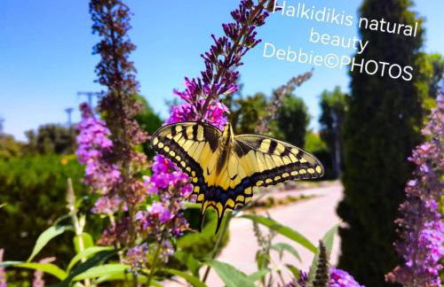 Villa Casagrande - Foto 32