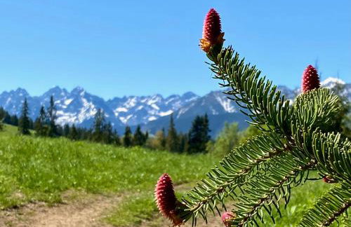 Domek Tatry - Stacja Wierchowa 972 m - Foto 74