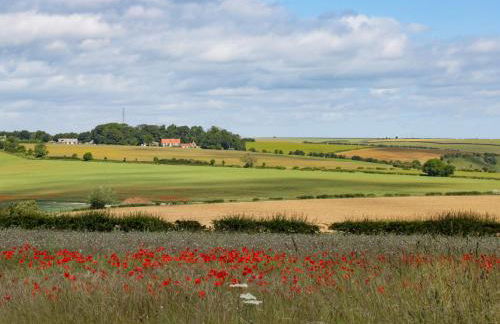 Beech Cottage - Foto 19