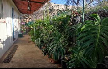 Casa El Sitio - Foto 41