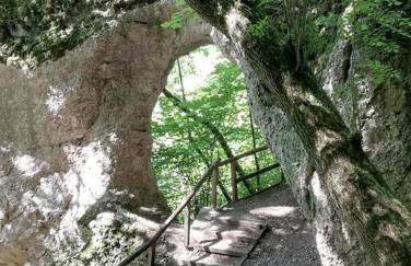 Exklusive Ferienwohnung m. Terrasse, ruhig gelegen - Foto 18