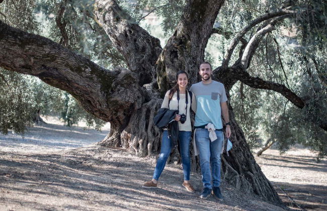 Olive Grove & Oil Mill Tour + Tasting - Photo 6