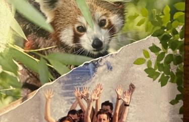 La scierie Massonat - Foto 29