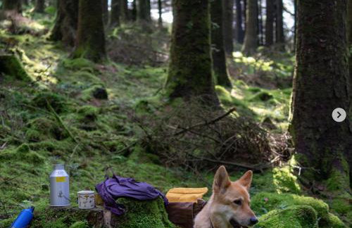 Swan Landing - Photo 16