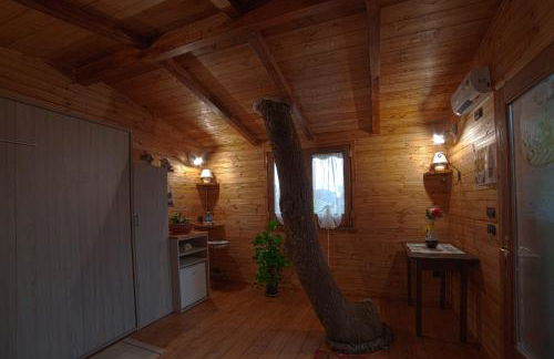 Casa sull'albero Bocchineri - Photo 14