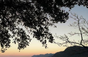 Dialiskari #2 - Foto 16