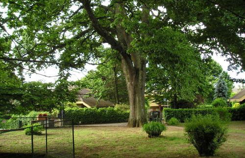 Casa vacanze Il Parco - Foto 7