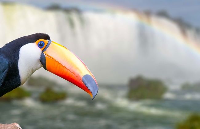 Tour di avventura a Macuco Safari - Foto 7