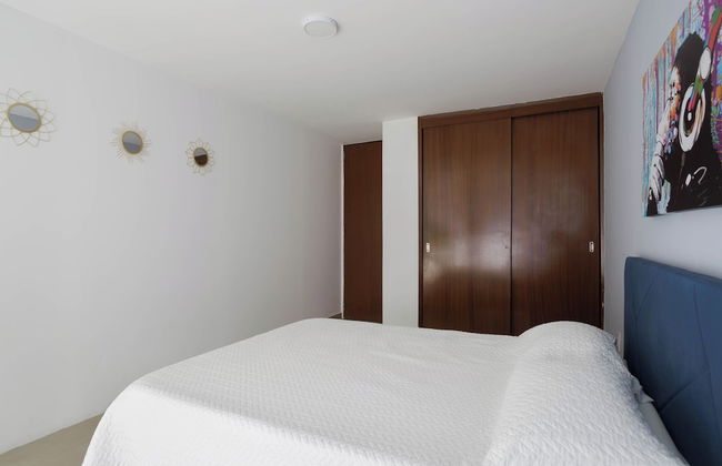 Socrates 378 - Foto 5