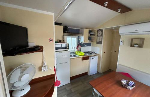 Salamandre - Foto 22