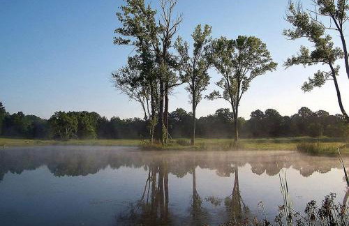 Delightful Vacation Cabins in Mount Juliet near Nashville, Tennessee - Foto 37