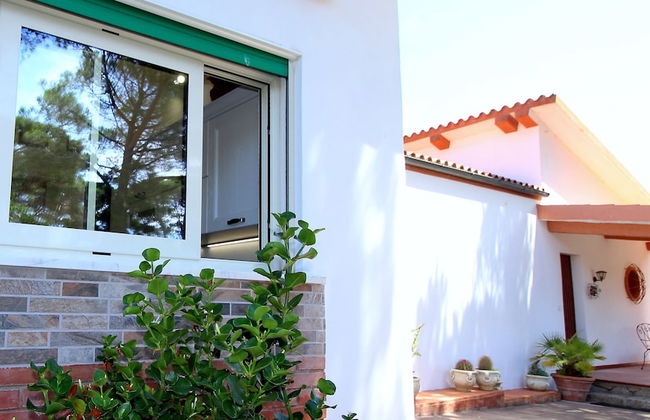 Villa Susy al mare - Photo 49