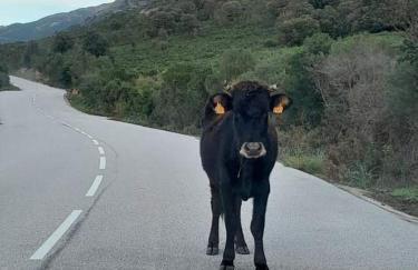 Les villas de Mélody - Foto 75
