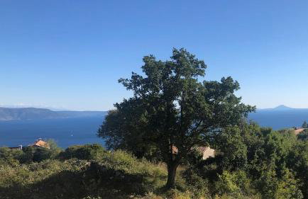 Sea View Villa Aurinia - Foto 25