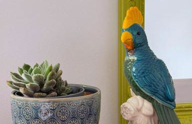 Casa do Cacto - 2 Bedroom Apartment - Photo 23