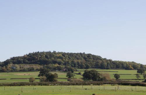 Leadon View Oak - Photo 25