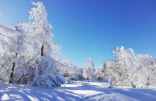Erzgebirgshaus Zirbenliebe - Foto 16