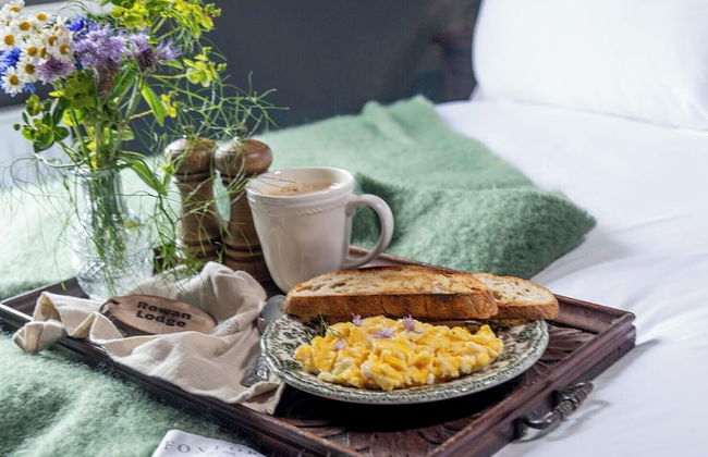 The Forest at Mount Congreve Gardens - Foto 47