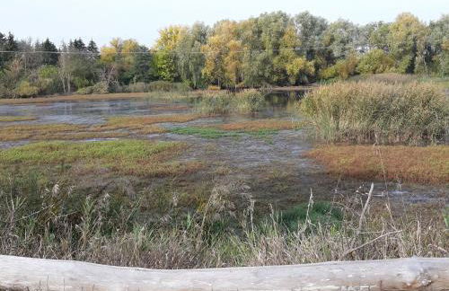 Apartment Loni in Viereth by Interhome - Foto 26