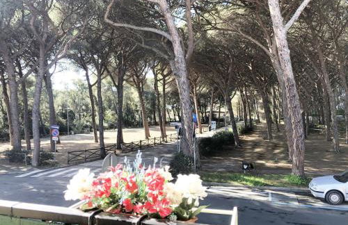 Appartamento ALICE a Marina di Cecina by Zoom In Earth - Foto 1