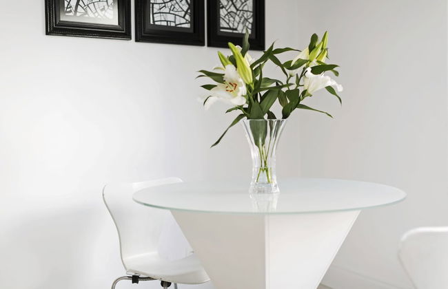 Studio Avanhandava - Foto 10