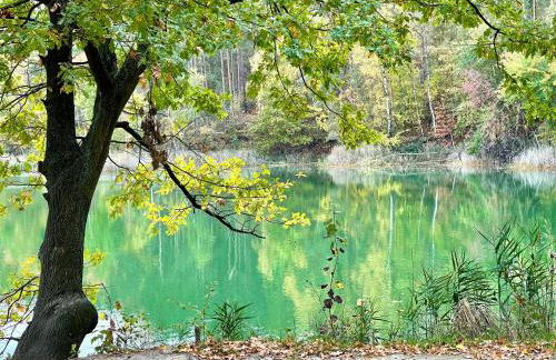 Igelnest Großthiemig - Foto 9