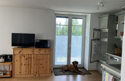 Villa Fichteneck - Foto 6