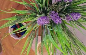 Libélula Eco Loft - Foto 5