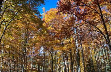 Studio aux pieds des pistes, des chemins de Rando - Foto 23