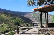 Casa da Carolina - Foto 6