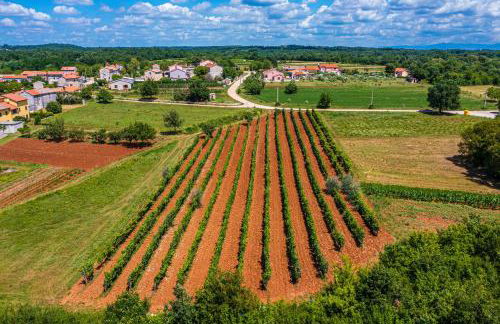 House Grandići 1852 - Foto 27