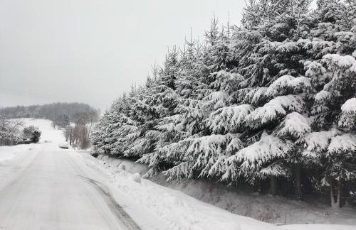 Domek całoroczny Pod Bieszczadzkim Aniołem - Foto 33