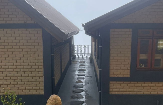 MOMO ELLA - Photo 17