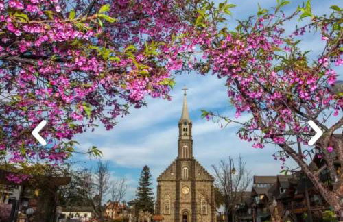 Flores da Montanha - Foto 53