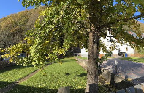 Ferienhaus Ginkgo Biloba - Foto 10