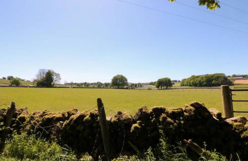 The Shavings - Photo 20