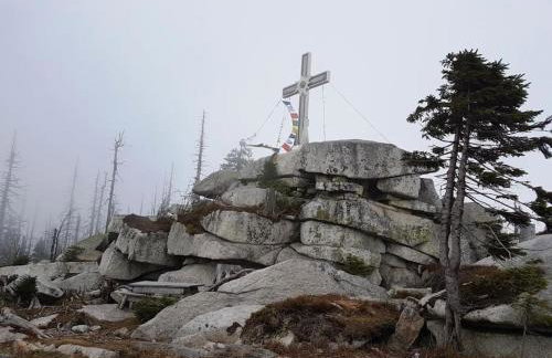 Apartment, 2 bedrooms, kitchen+2 bathrooms - Photo 25