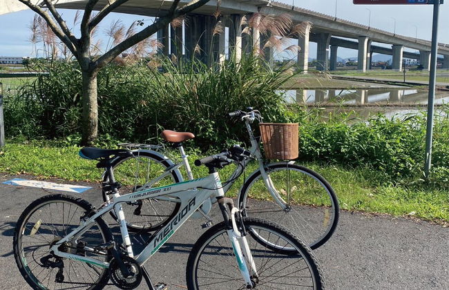 Apex Villa - Photo 42