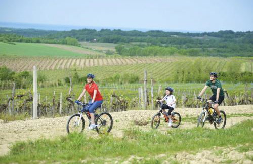 Apartment in Savudrija with Terrace, Air conditioning, Wi-Fi (4577-2) - Foto 25