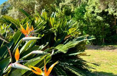 Residence Canella - Foto 76