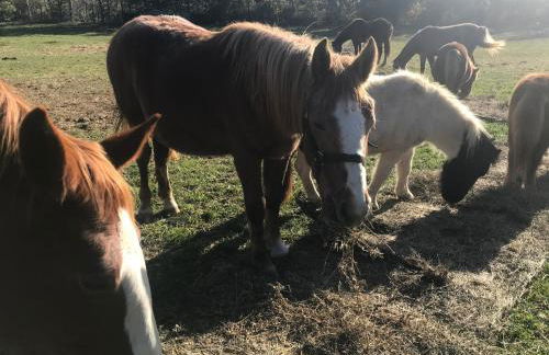 Gîtes Belle Vue - Photo 41