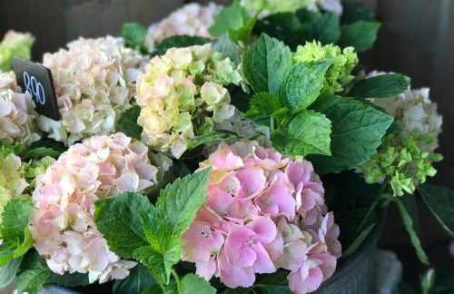 Ferienwohnung Fleckeby Schlei Fjord Light - Foto 23