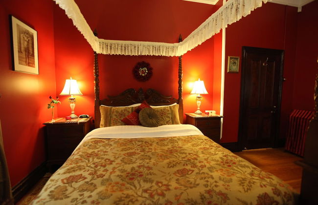 Strawberry Patch - Foto 23