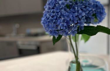 Casa Orlandina - Foto 9