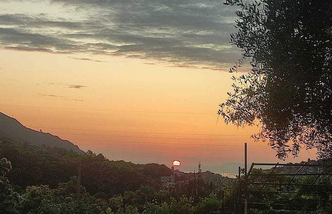 La masseria - Foto 12