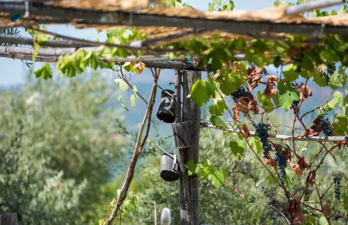 Le Capanne di Villa Margherita - Foto 25