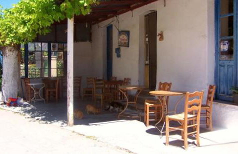 Petrino Minimal - Foto 53