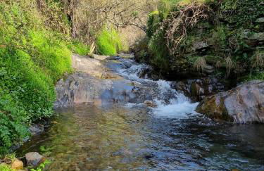 Canastro Nature Spot - Foto 52