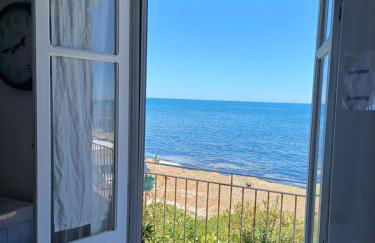 Le due conchiglie - Foto 20